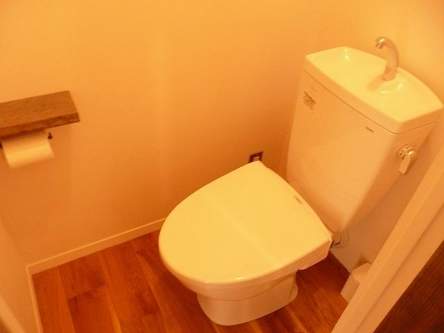 Toilet. Like a cafe toilet.