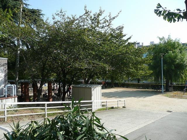Other local. Park along the Okawa. Environment Yoshi!