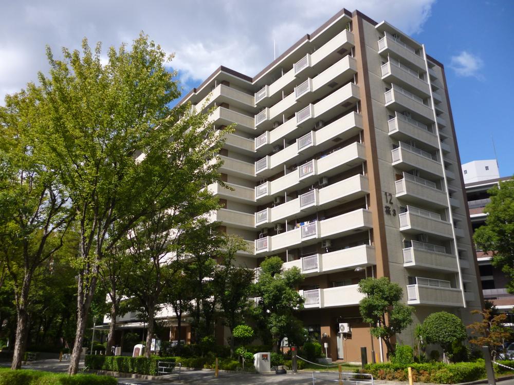 Local appearance photo. Local (10 May 2013) Shooting