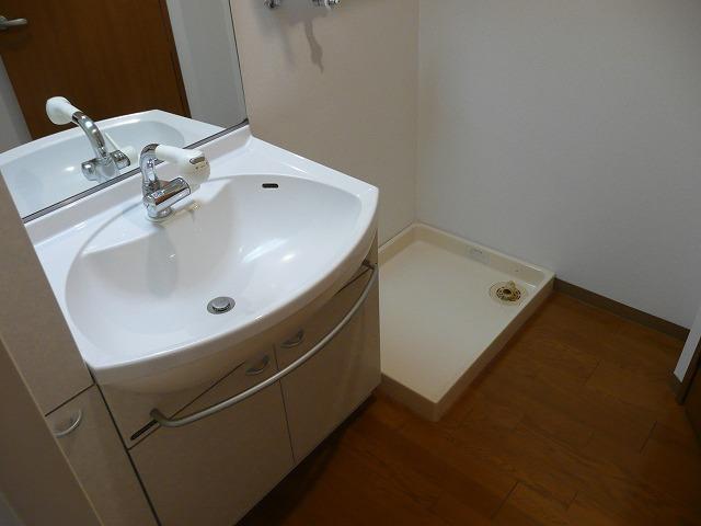 Wash basin, toilet. I had made shampoo dresser