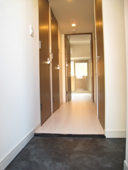 Entrance. Full flat (step there is no) design! !