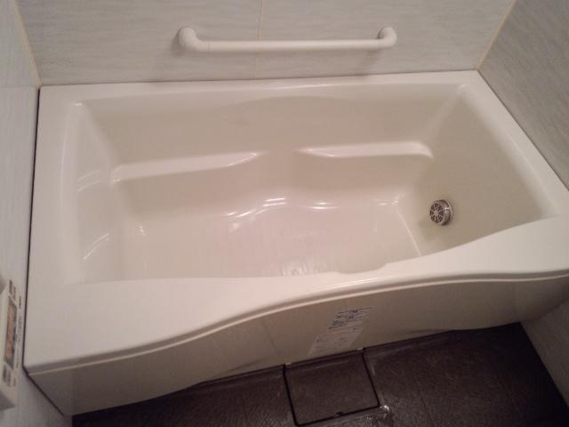 Bathroom. Indoor (10 May 2013) Shooting