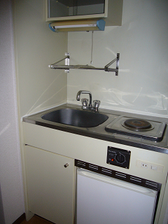 Kitchen. It comes with an electric stove and a mini fridge