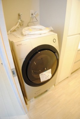 Other. Drum-type washing machine