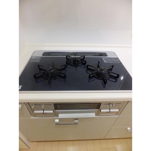 Other introspection. 3-neck gas stove