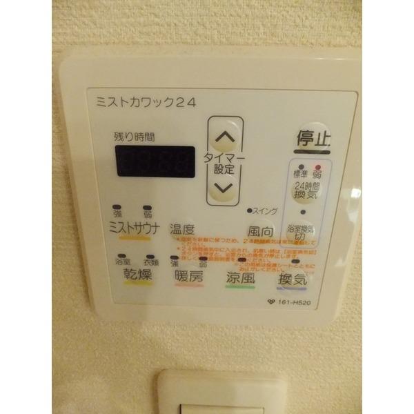 Other introspection. With bathroom dryer