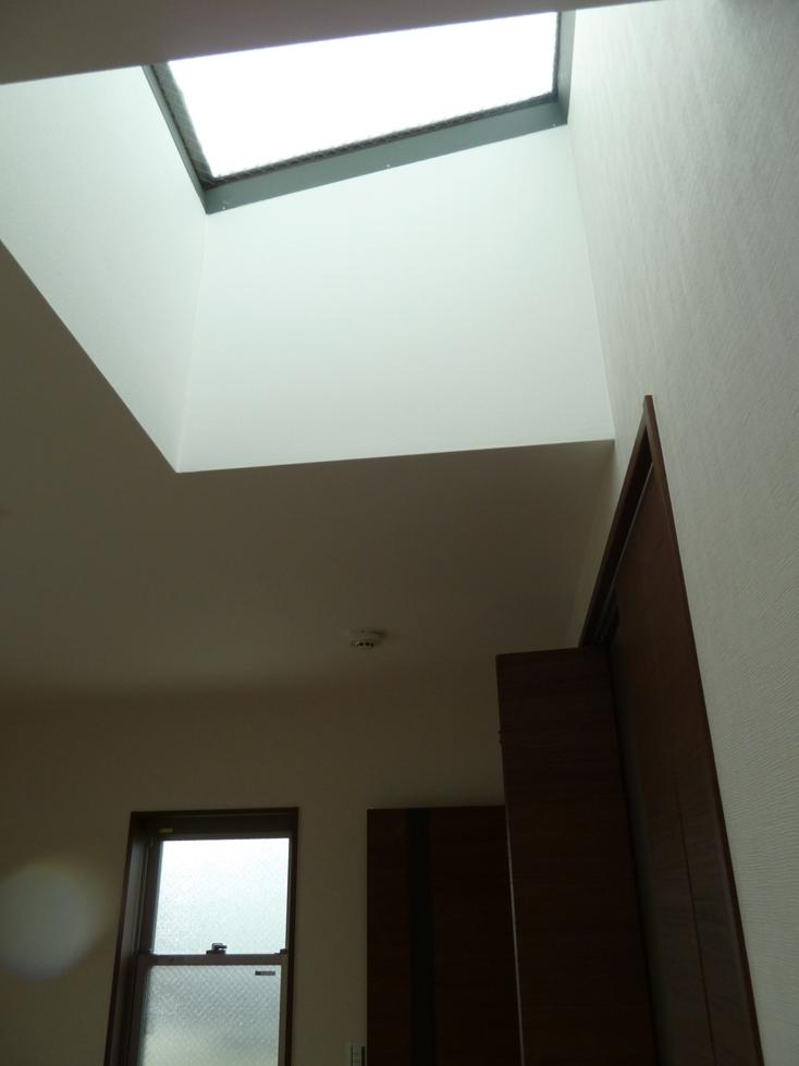 Other. Skylight