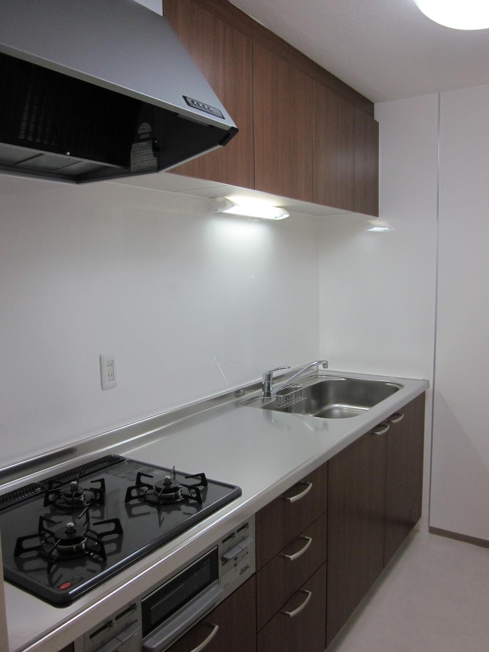 Kitchen. System kitchen we had made