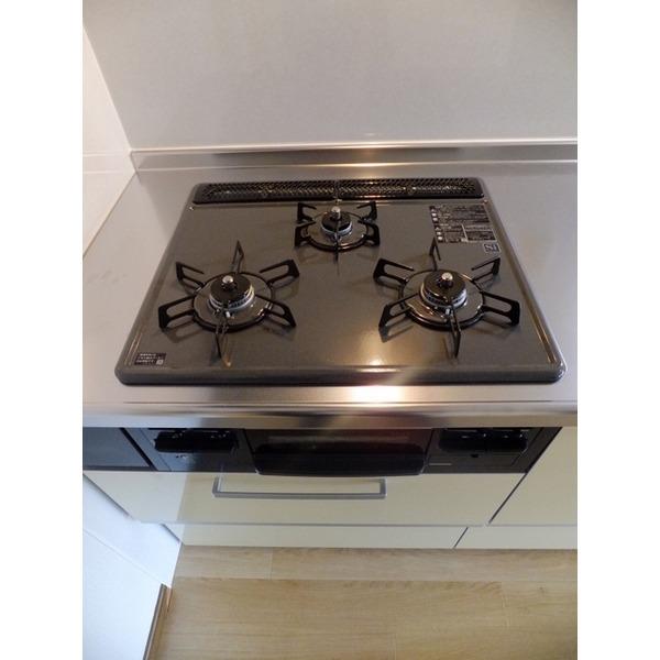 Other introspection. 3-neck gas stove