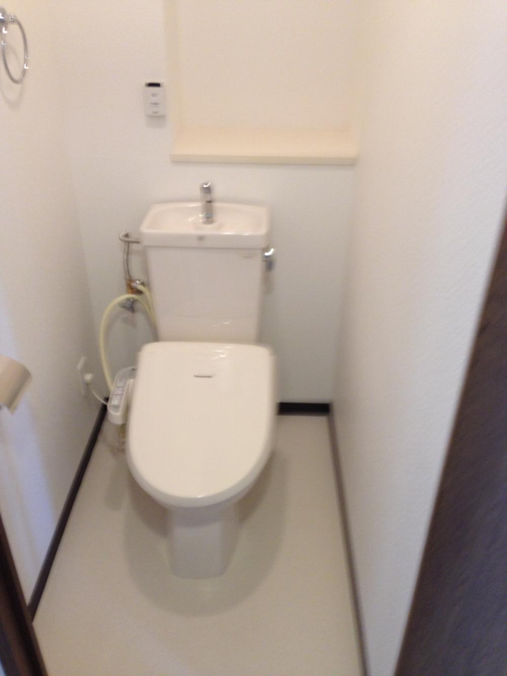 Toilet. Toilet shiny.