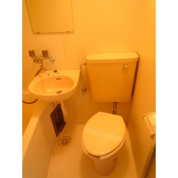 Toilet. Clean toilet
