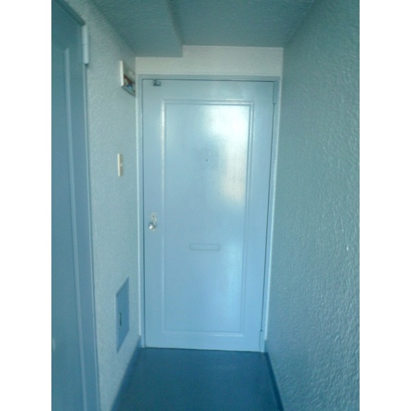 Entrance. Entrance door