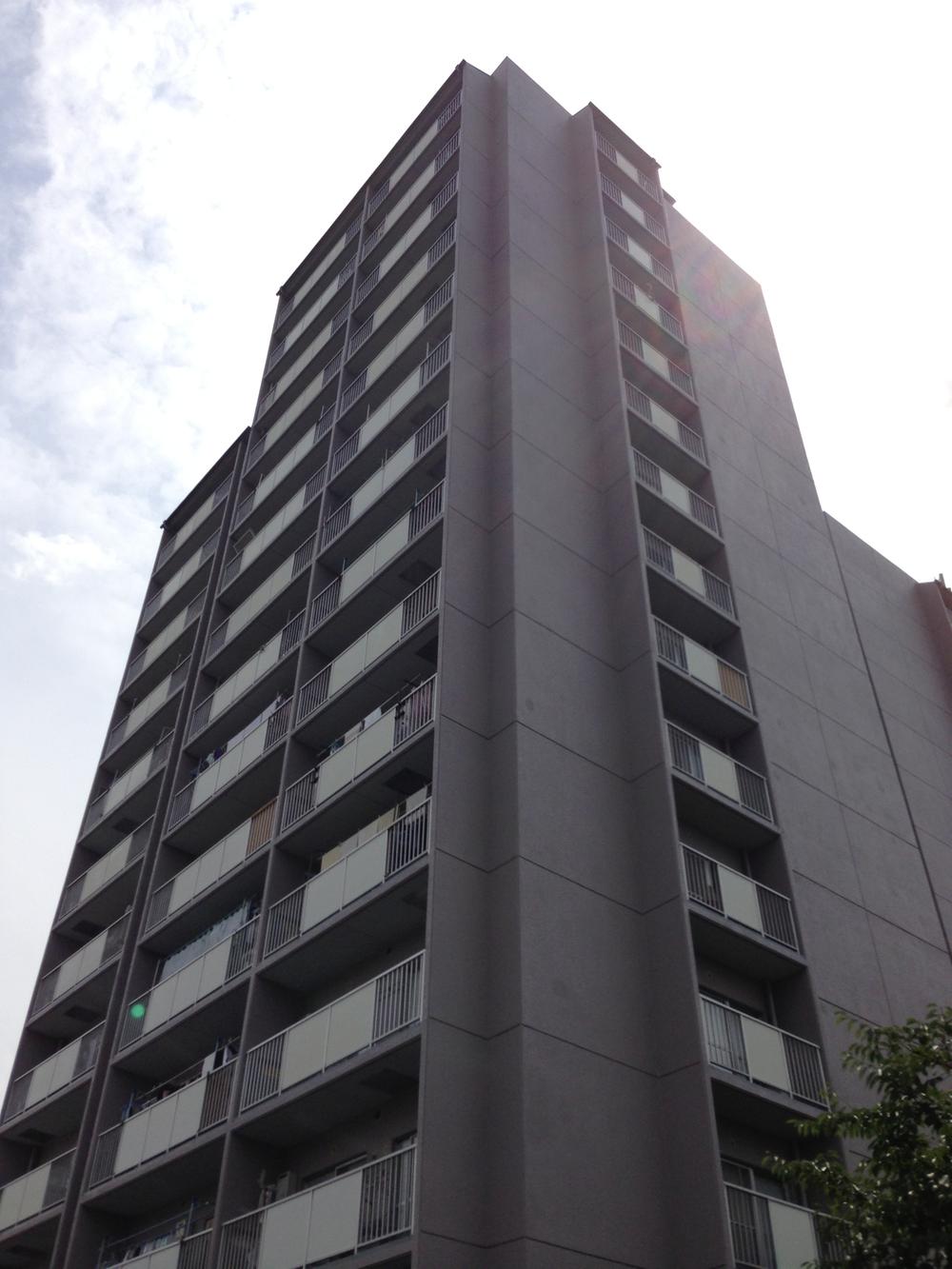 Local appearance photo. It was a beefier, This appearance