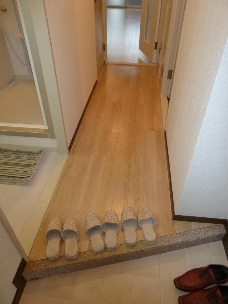 Entrance. It is a photograph from the front door.