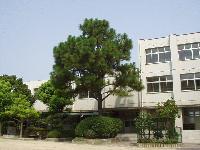 Primary school. Shimaya to elementary school 360m