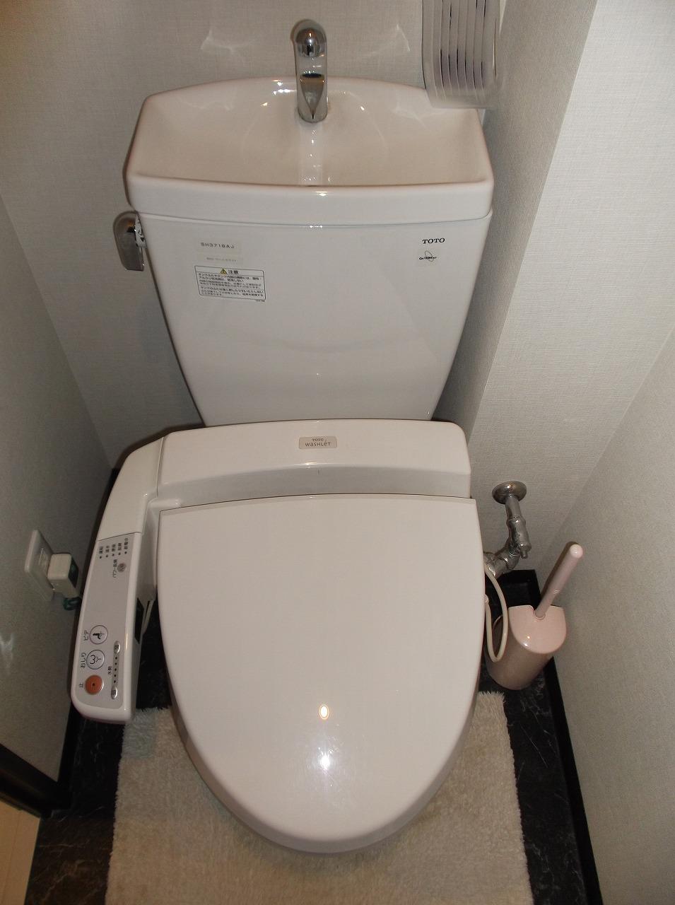 Toilet. Indoor (12 May 2013) Shooting