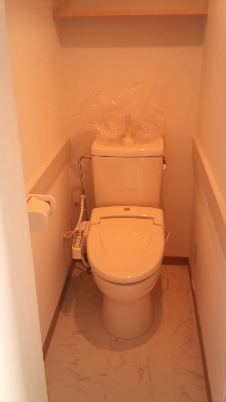 Toilet