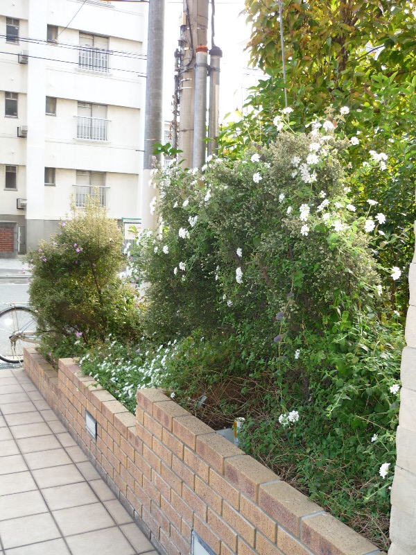 Other common areas