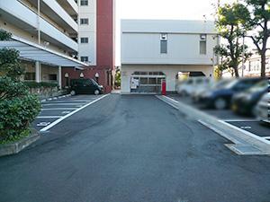 Parking lot. Common areas