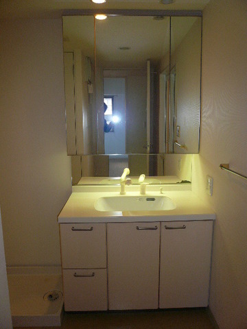 Washroom. Bathroom vanity