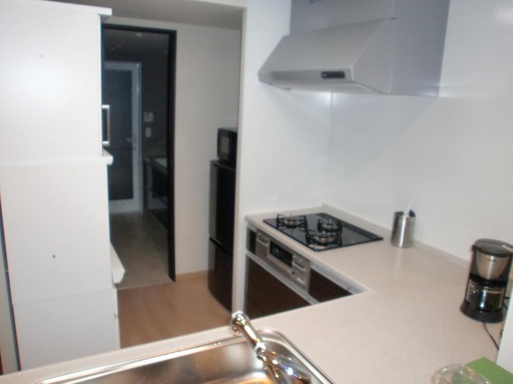 Kitchen. Using the popularity of the L-shaped counter kitchen.