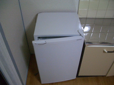 Other. Fridge