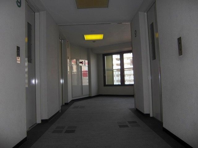 Other introspection. Elevator (inner hallway)