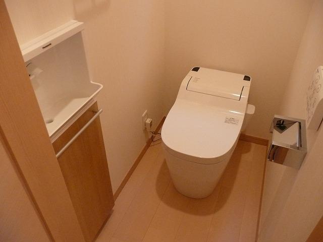 Toilet. New clean toilet