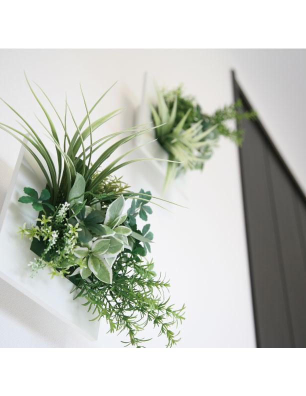 Other.  ◆  Wall hanging foliage plants  ◆