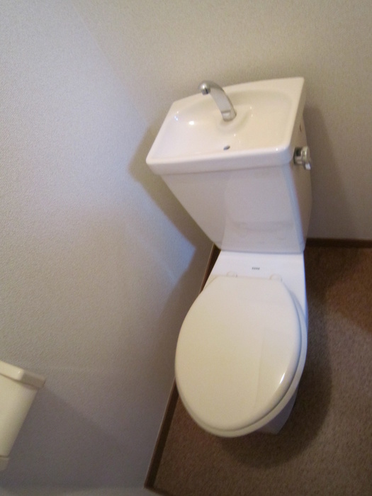 Toilet. Popular Separate