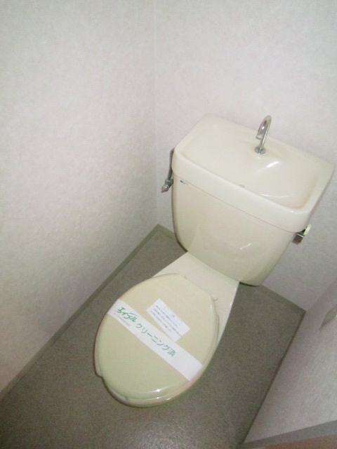 Toilet. Toilet