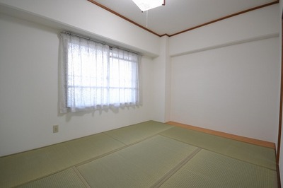 Living and room. Japanese style room