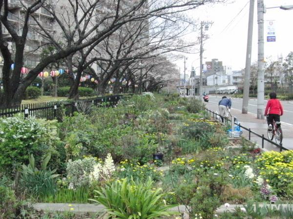 Other. A home away from home to give breath to the "hot" ☆