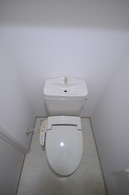 Toilet. Toilet