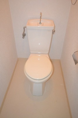 Toilet. Toilet