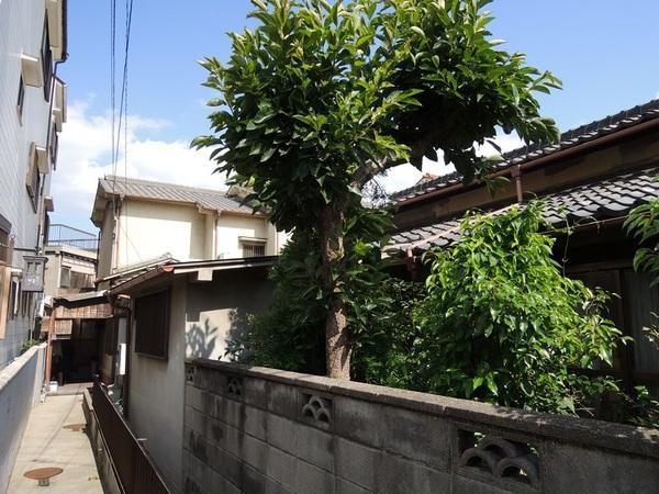 Local appearance photo. It is low around the building. It is spacious streets in Osaka city. 