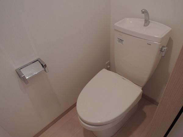 Bathroom. First floor toilet. There is no waste under the stairs.