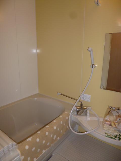 Bathroom. Indoor (September 2013) Shooting