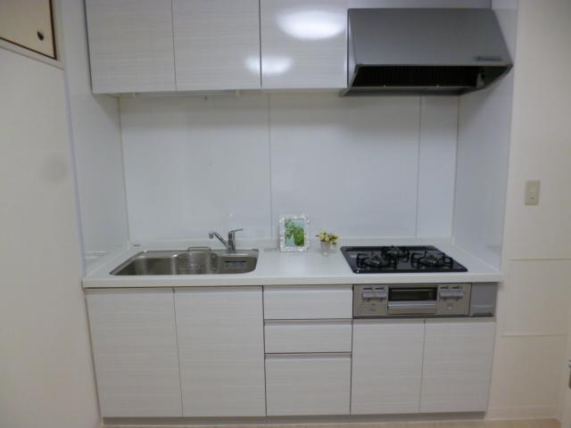 Kitchen. Indoor (September 2013) Shooting