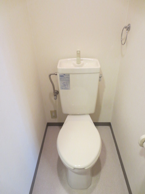 Toilet. Beautiful toilet space.