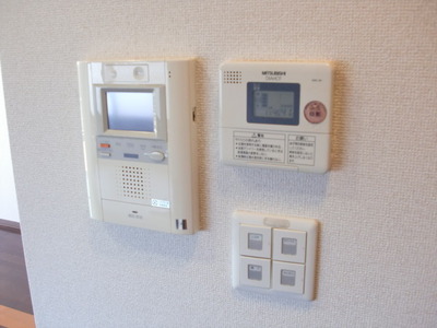 Security. Intercom with TV monitor