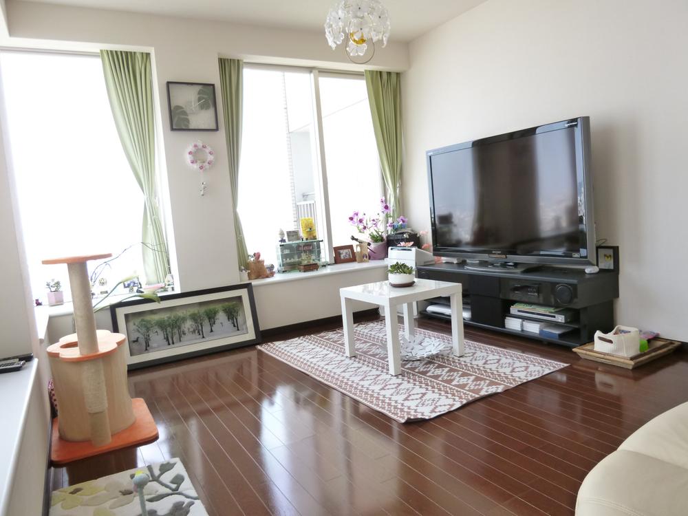 Living. Indoor (10 May 2013) Shooting