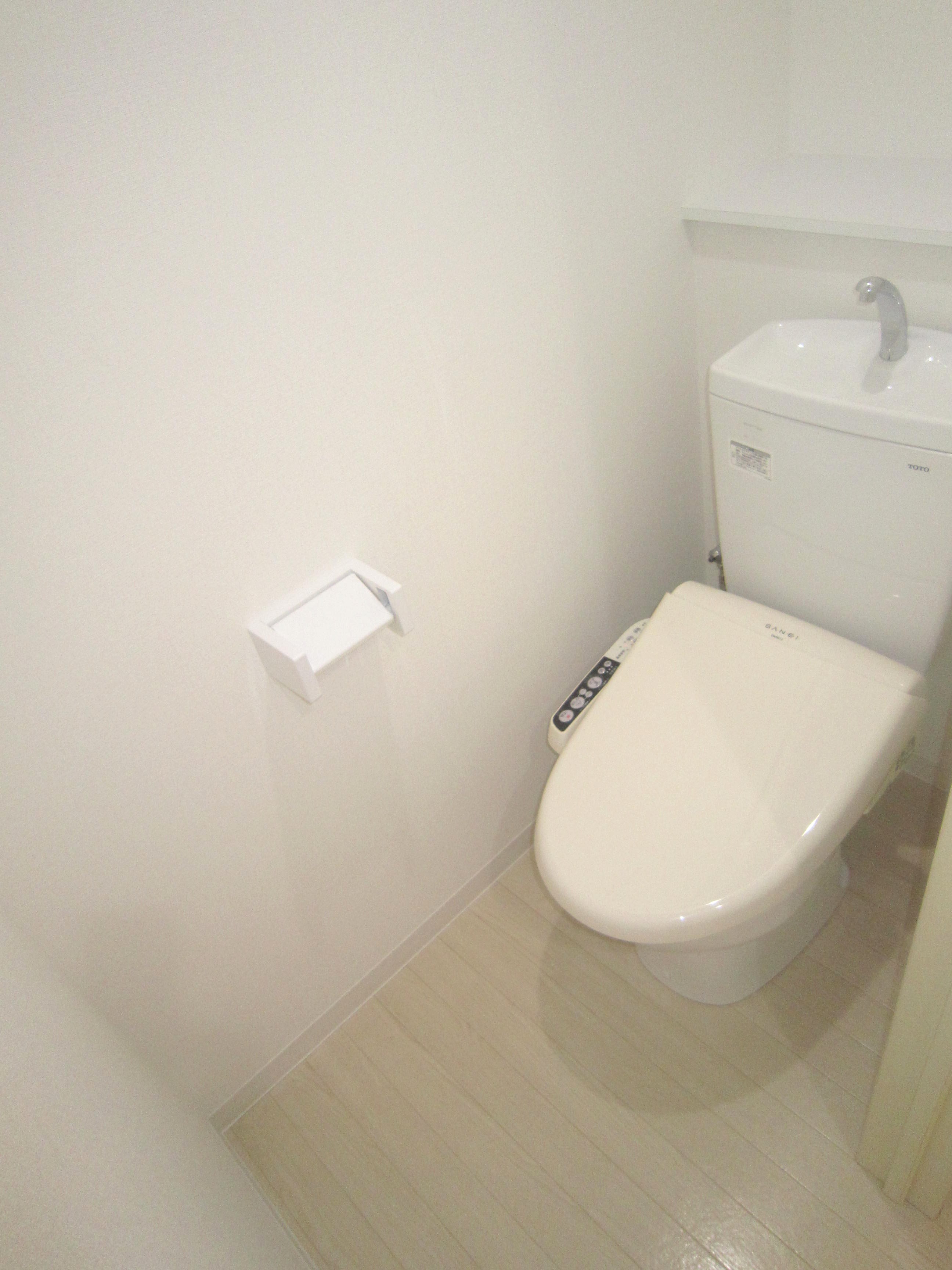 Toilet. It comes with a bidet. 