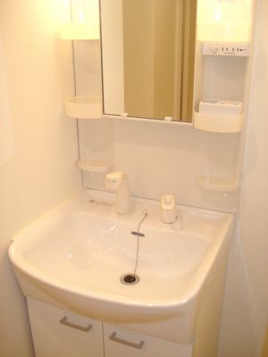 Washroom. Shampoo dresser