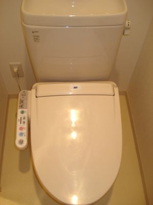 Toilet. Cleaning function with toilet seat