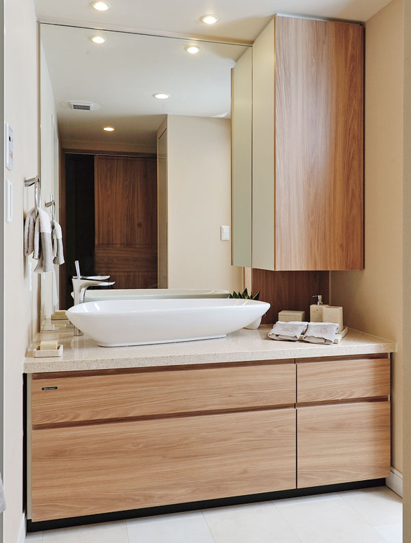 Bathing-wash room.  [bathroom] Storage is abundant lavatory (EG type model room)