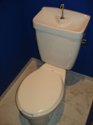 Toilet