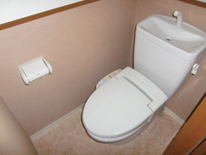 Toilet