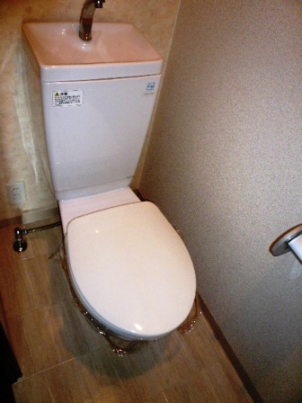 Toilet