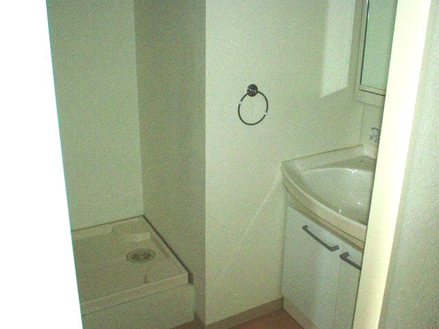 Washroom. Also glad large shampoo dresser